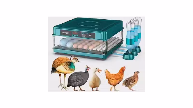 Qual a Melhor Chocadeira: Automática ou Manual?