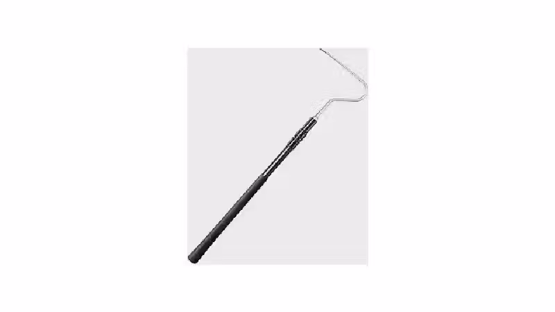 Qual a Melhor Cobra para Iniciantes: Guia Completo