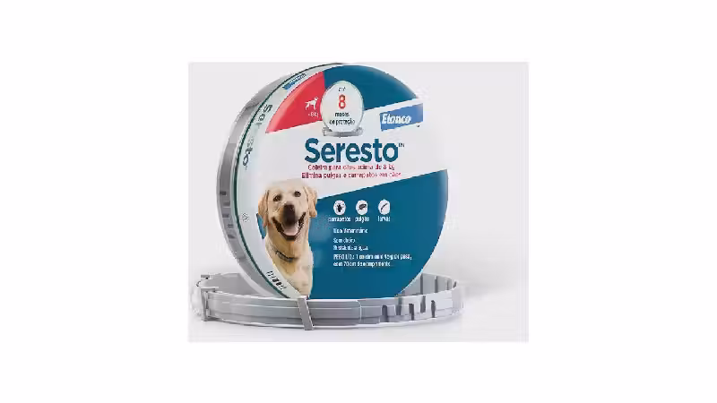 Qual a Melhor Coleira Anti Pulga e Carrapato para Cachorro? Proteção Duradoura