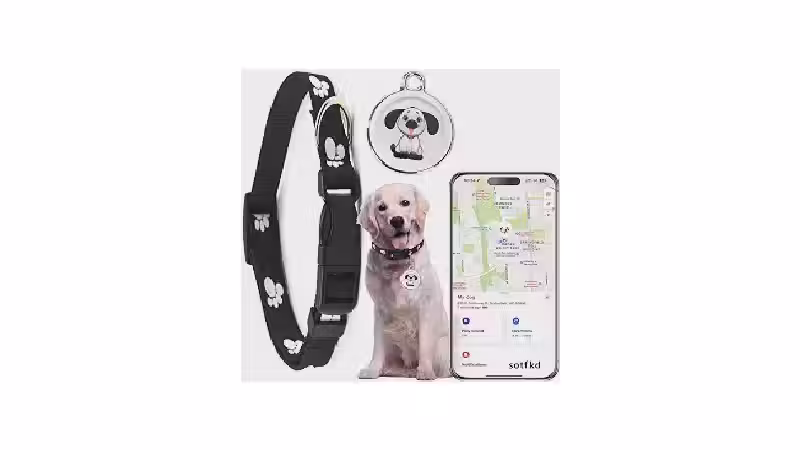 Qual a Melhor Coleira com GPS para Cães? Análise