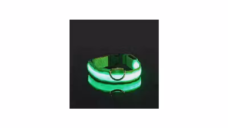 Qual a Melhor Coleira Luminosa para Passeios Noturnos? Guia de Compra