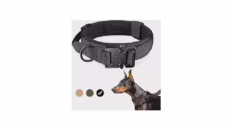 Qual a Melhor Coleira com Fivela de Metal? 9 Opções