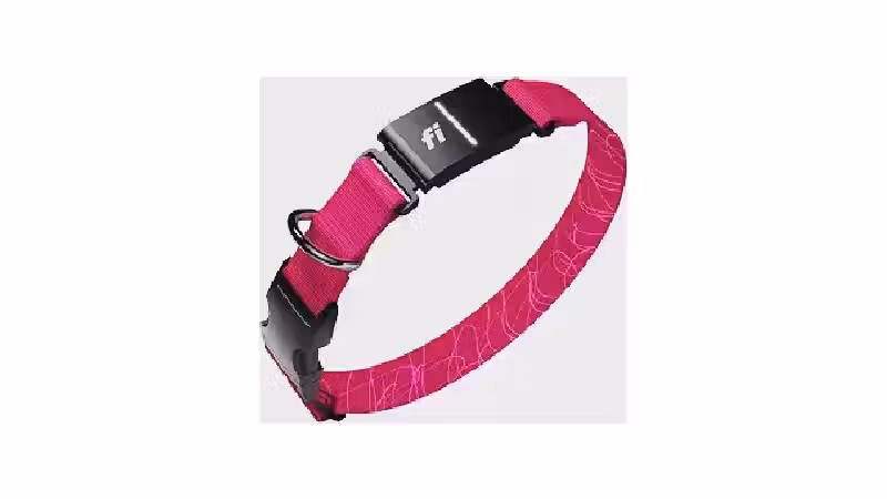 Qual a Melhor Coleira para Cachorro com GPS e Monitor de Atividade? Análise de 7 Modelos