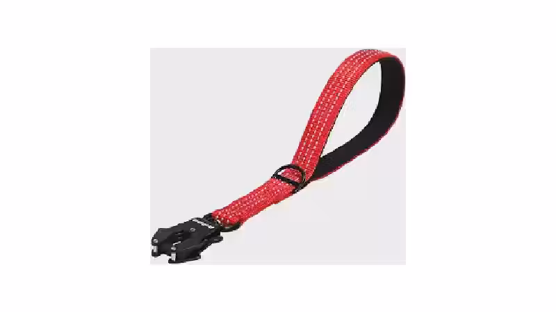 Qual a Melhor Coleira para Cachorro com Guia Curta?