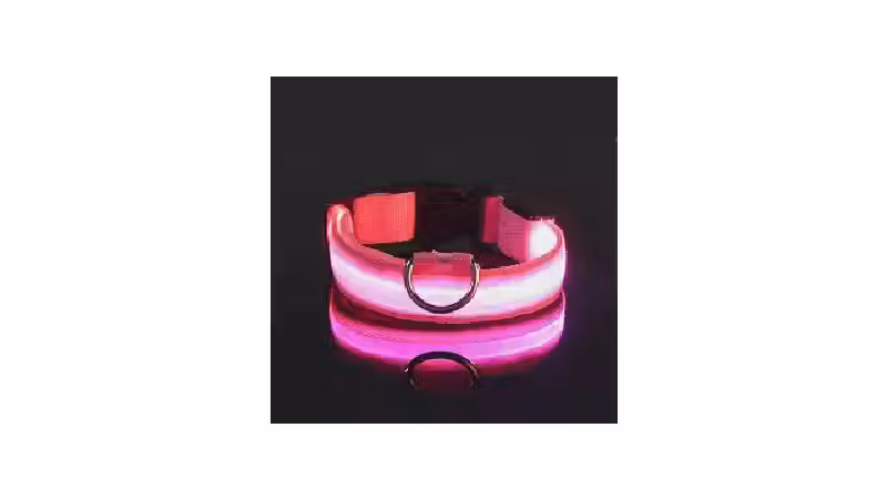 Qual a Melhor Coleira para Cachorro com LED? Análise