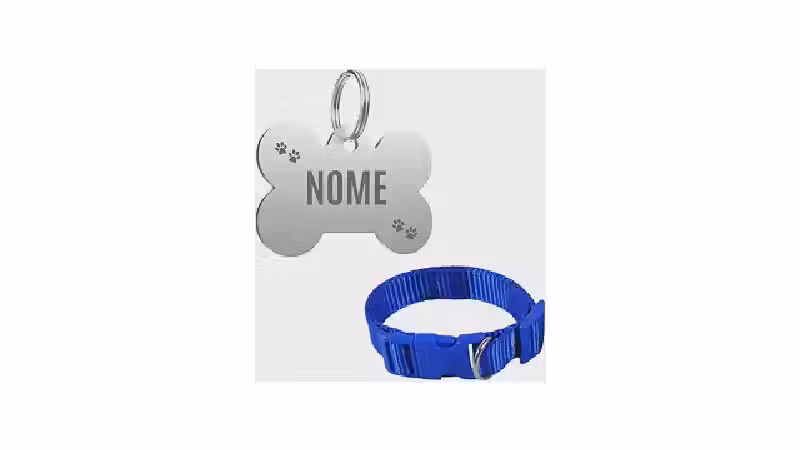 Qual a Melhor Coleira para Cachorro com Nome e Telefone Gravados? Análise de 10 Modelos