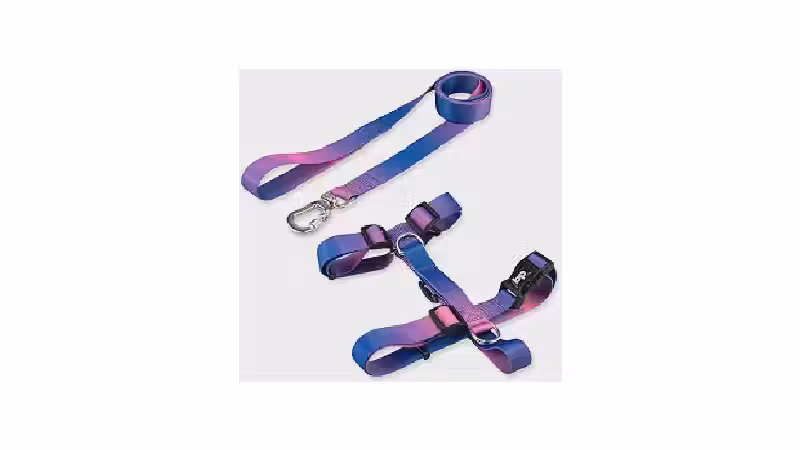 Qual a Melhor Coleira para Cachorro com Peitoral e Guia: H vs. Colete