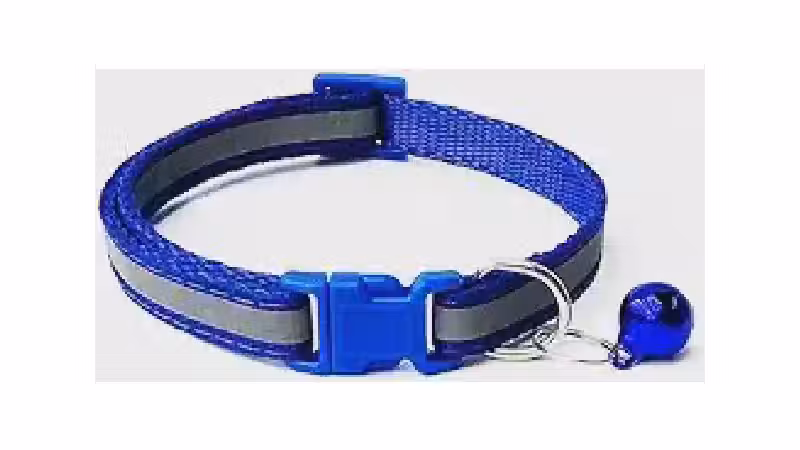 Qual a Melhor Coleira para Cachorro com Refletor?