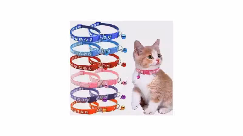 Qual a Melhor Coleira para Gato com Guizo? Guia com 10 Opções Seguras