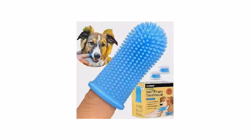Qual a Melhor Escova de Dente para Cachorro: Dedeira ou Cabo?