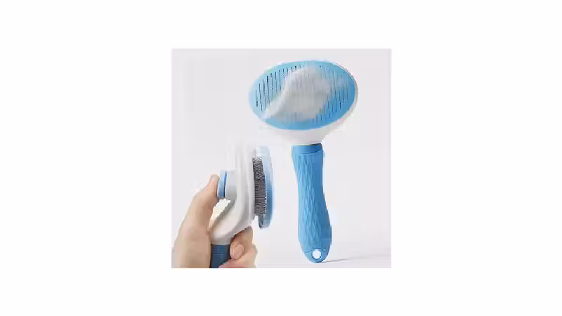 Qual a melhor escova para gatos? Para pelo curto e longo