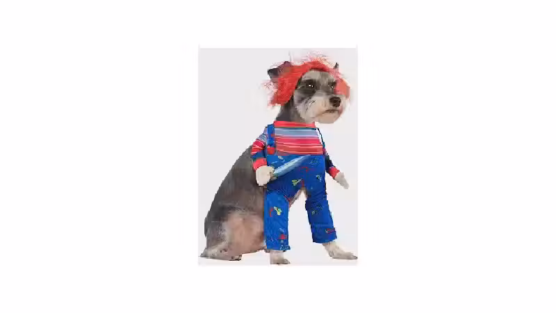 Qual a Melhor Fantasia de Halloween para Cachorro? 10 Ideias