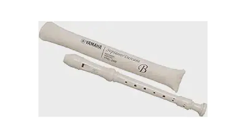 Qual a Melhor Flauta Doce para Musicalização Infantil?
