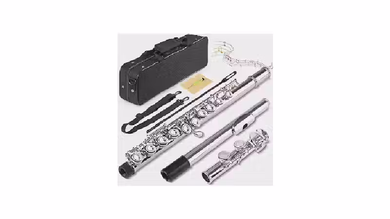 Qual a melhor flauta transversal para seu nível?