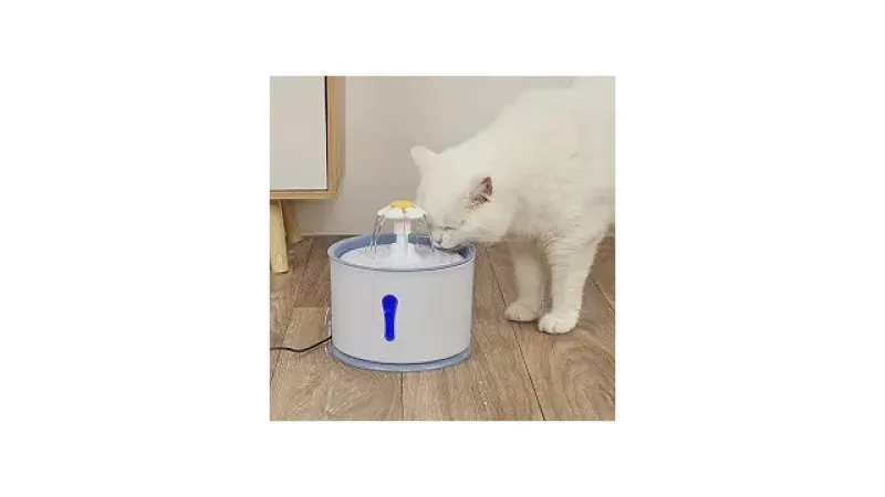 Qual a melhor fonte para gatos com filtro de carvão ativado: 10 Opções