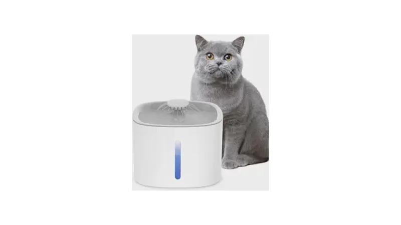 Qual a Melhor Fonte p/ Gatos com Filtro e Luz?