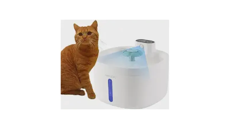 Qual a Melhor Fonte Para Gatos Que Não Precisa de Tomada (Bateria)?