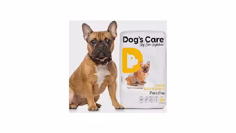 Qual a Melhor Fralda Para Cachorro? Guia Completo