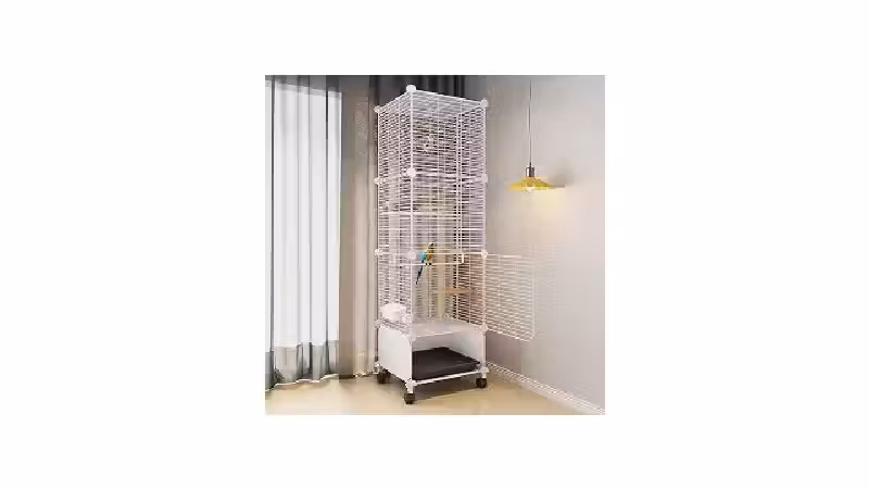 Qual a Melhor Gaiola para Calopsita: Guia de Espaço