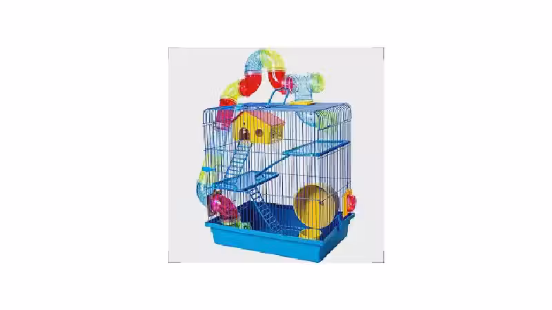 Qual a melhor gaiola para hamster? Guia de espaço