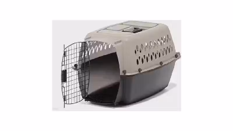 Qual a melhor gaiola para transporte aéreo de pet? Cabine ou Porão?