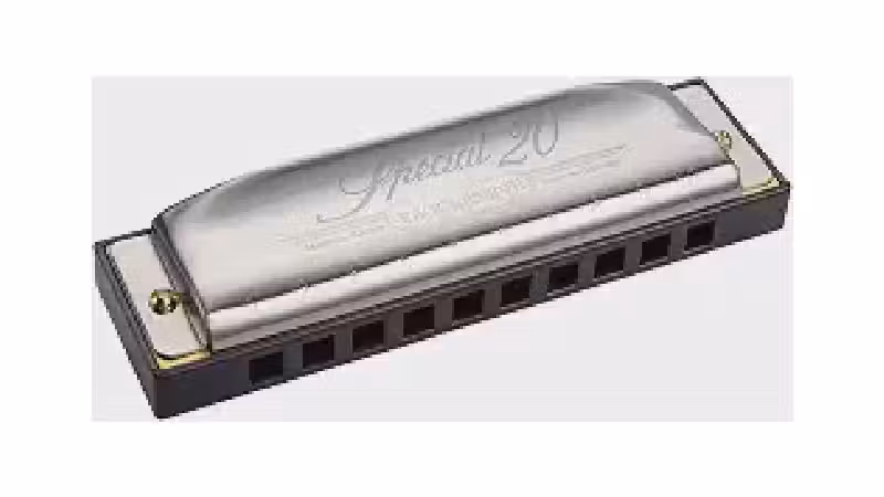 Qual a Melhor Gaita Profissional? Diatônica ou Cromática?