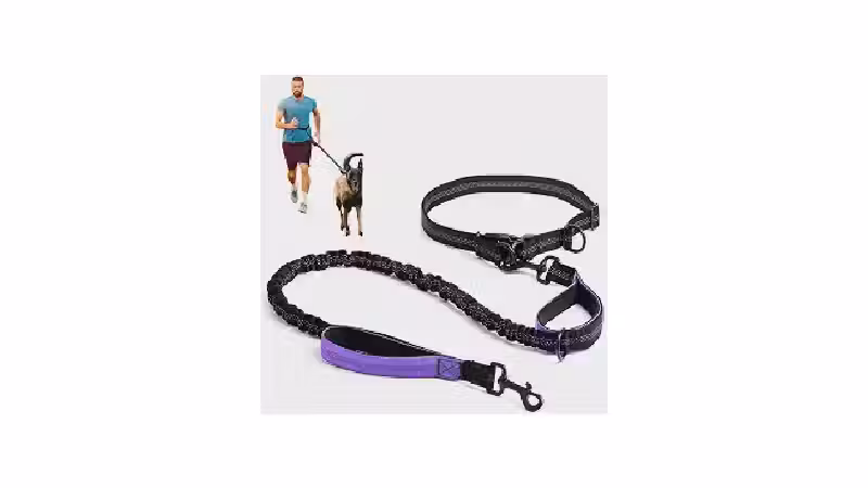 Qual a Melhor Guia para Correr com Cachorro? Análise
