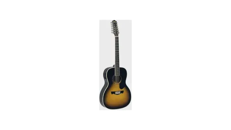 Qual a Melhor Guitarra de 12 Cordas? 3 Tagimas