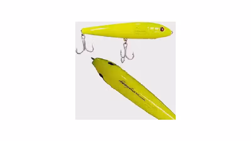 Qual a Melhor Isca para Robalo? Guia de Tipos e Ação