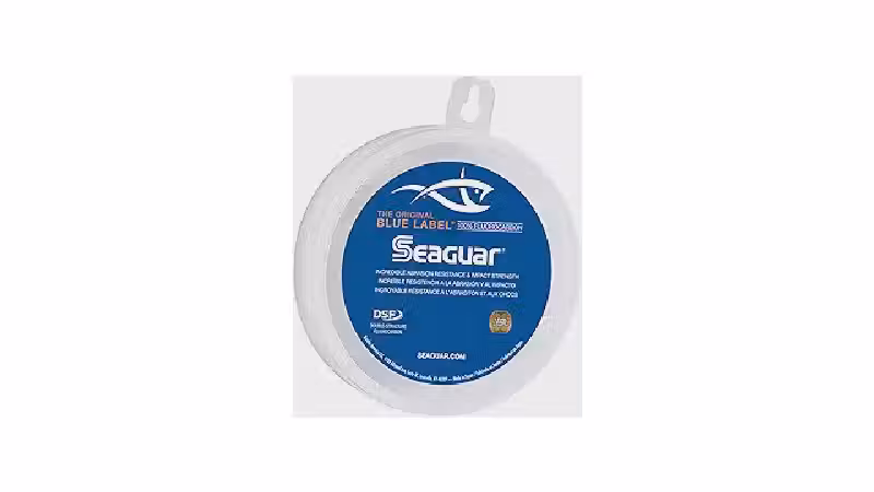 Qual a melhor linha de fluorocarbono para líder? Top 10