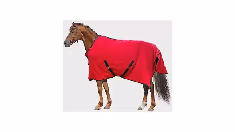 Qual a Melhor Manta Para Cavalo Para Absorver Suor