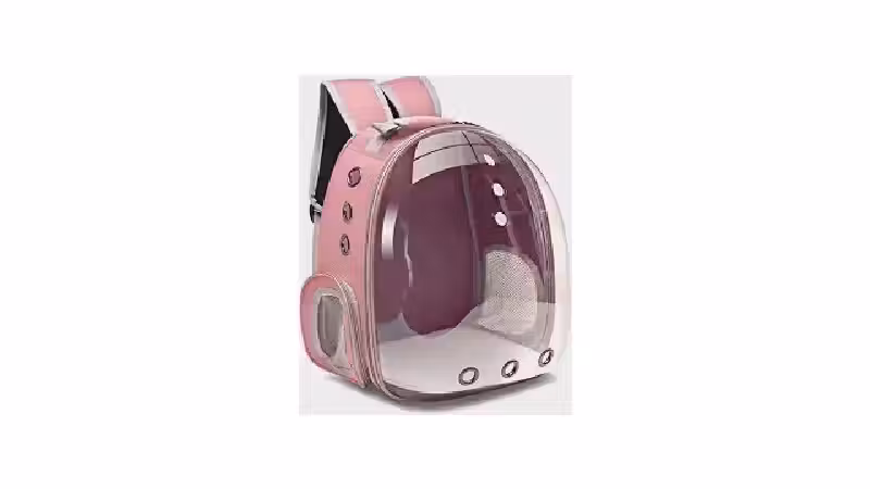 Qual a melhor mochila transparente para gato? 10 modelos