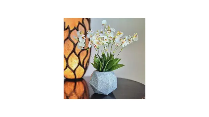 Qual a melhor orquídea para presente: Arranhos que duram