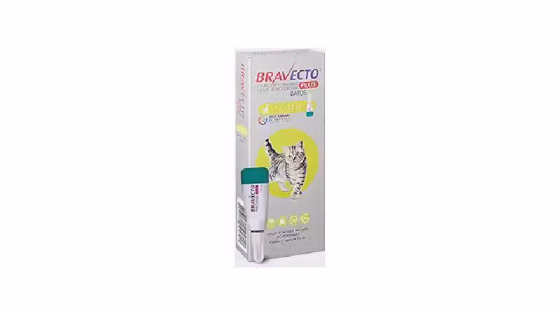 Qual a melhor pipeta antipulgas para gatos? 10 Análises