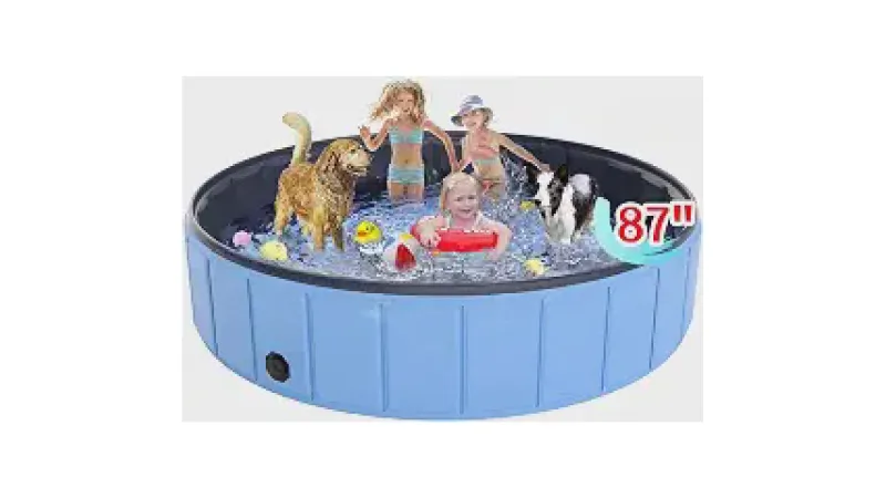 Qual a Melhor Piscina para Cachorro? Guia de Compra