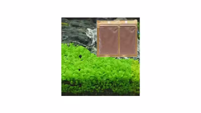 Qual a Melhor Planta para Aquário Low Tech: Guia Fácil