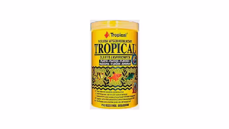 Qual a melhor ração em flocos para peixes tropicais: Guia para cor e nutrição