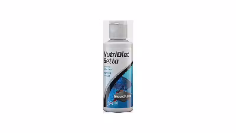 Qual a Melhor Racao para Betta p/ Cor e Saúde
