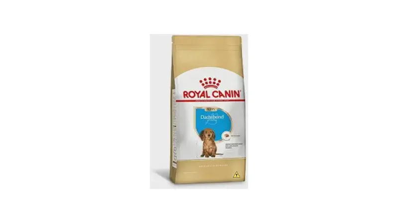 Qual a Melhor Ração para Cães da Raça Dachshund (Salsicha): O Guia
