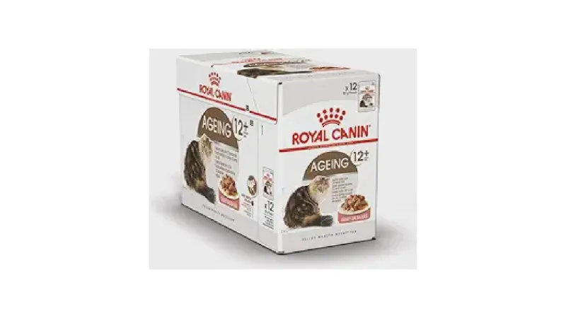 Qual a melhor ração úmida para gatos idosos: Guia Nutricional
