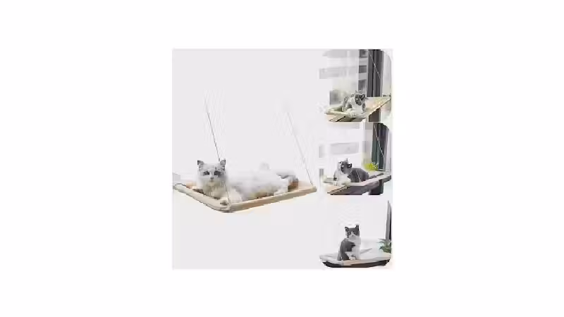 Qual a melhor rede de descanso de janela para gatos? Análise de 10 modelos