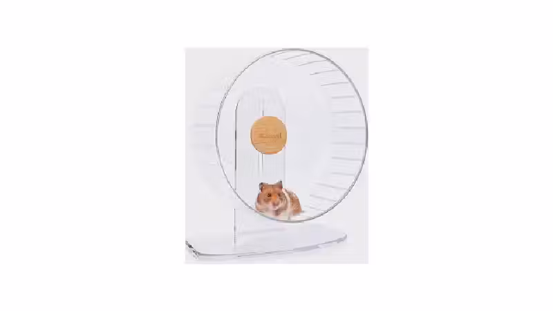 Qual a melhor rodinha de exercício para hamster?