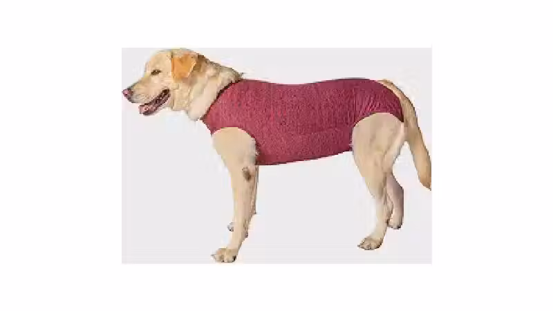 Qual a melhor roupa cirúrgica para pet: Acerte no tamanho, modelo e material