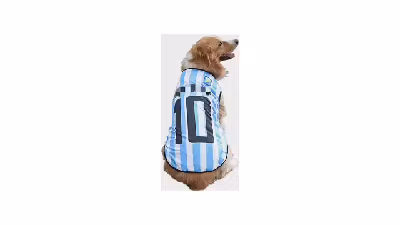 Qual a melhor roupinha de time para cachorro? 2 Opções
