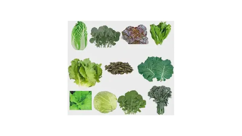 Qual a Melhor Semente de Hortaliças para Horta em Casa: Guia de Kits