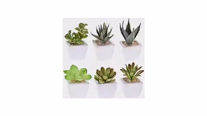 Qual a Melhor Suculenta Artificial? Análise das 10