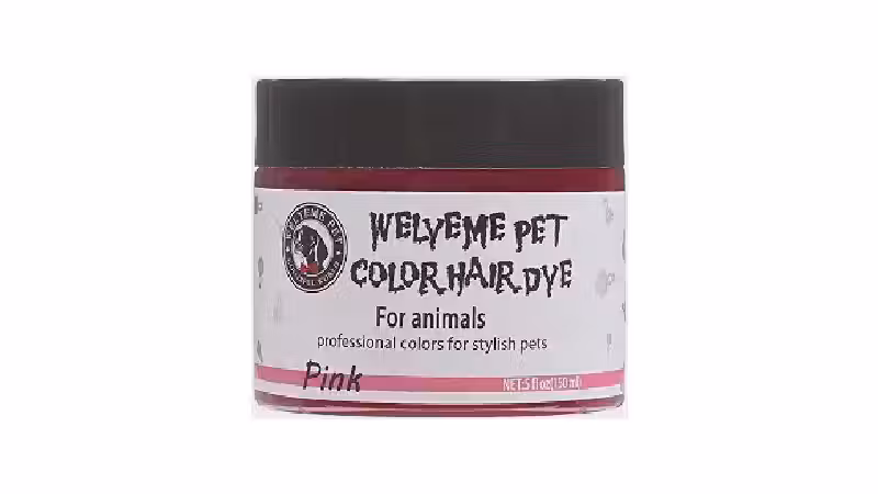 Qual a melhor tinta para pelo de cachorro? Temporária ou Permanente?
