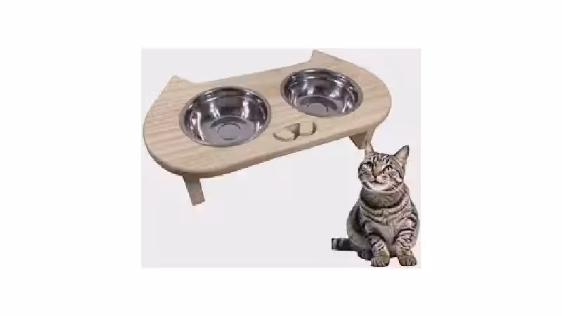 Qual a melhor vasilha para gato? Guia Ergonômico