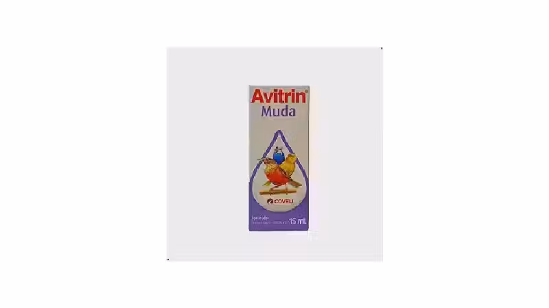 Qual a Melhor Vitamina para Pássaro? Guia Saúde