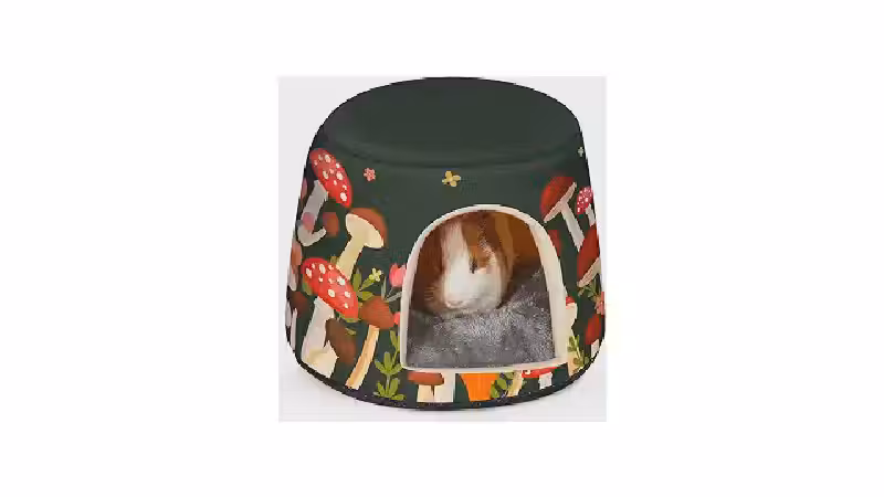 Qual o melhor abrigo para porquinho da índia? Top 10